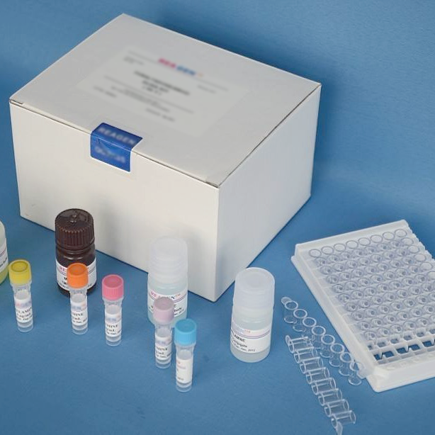 乙型流感病毒核酸检测试剂盒(Real Time PCR)